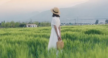 28天的秘密，品牌使命：让健康更美丽，让美丽更健康！