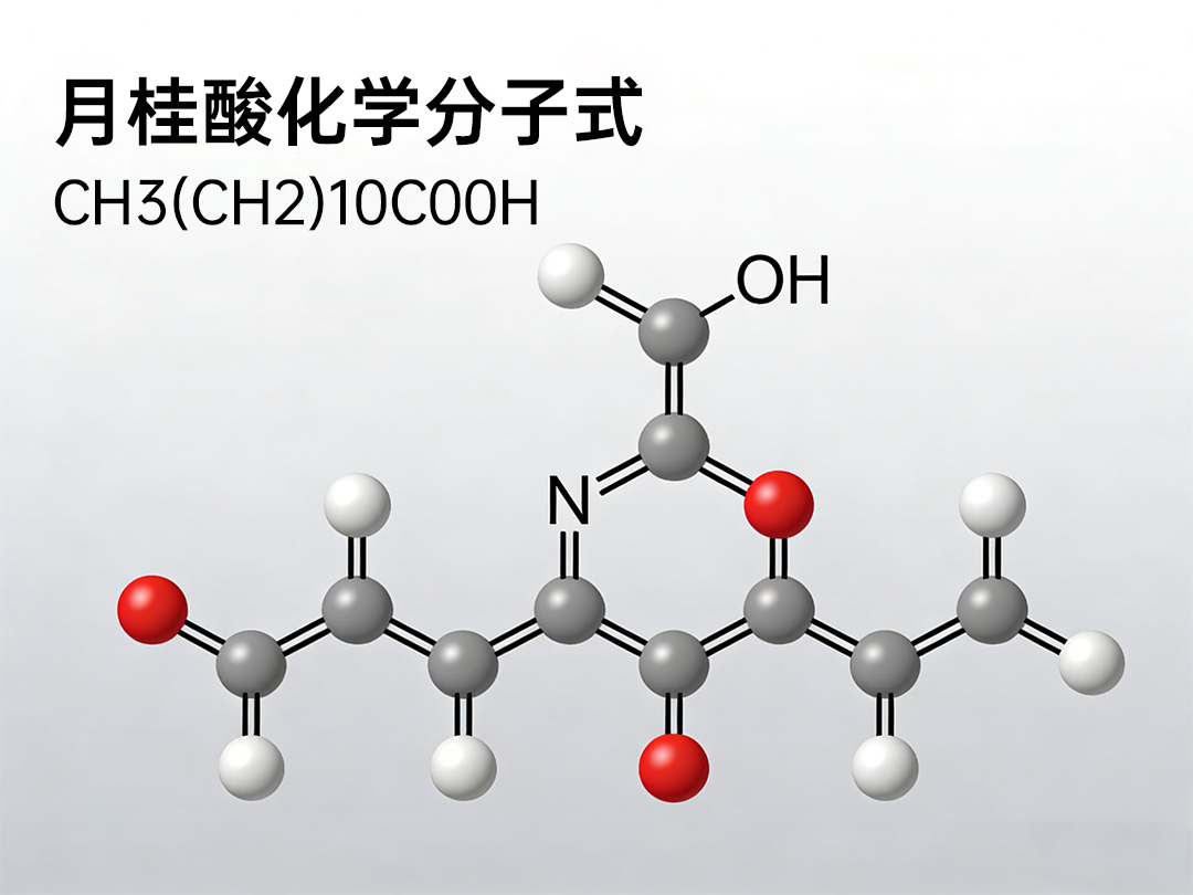 月桂酸化学式.jpg